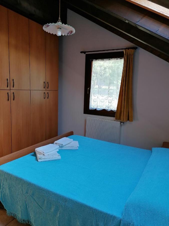 Al Fogolar Hotel Villa Santina Luaran gambar
