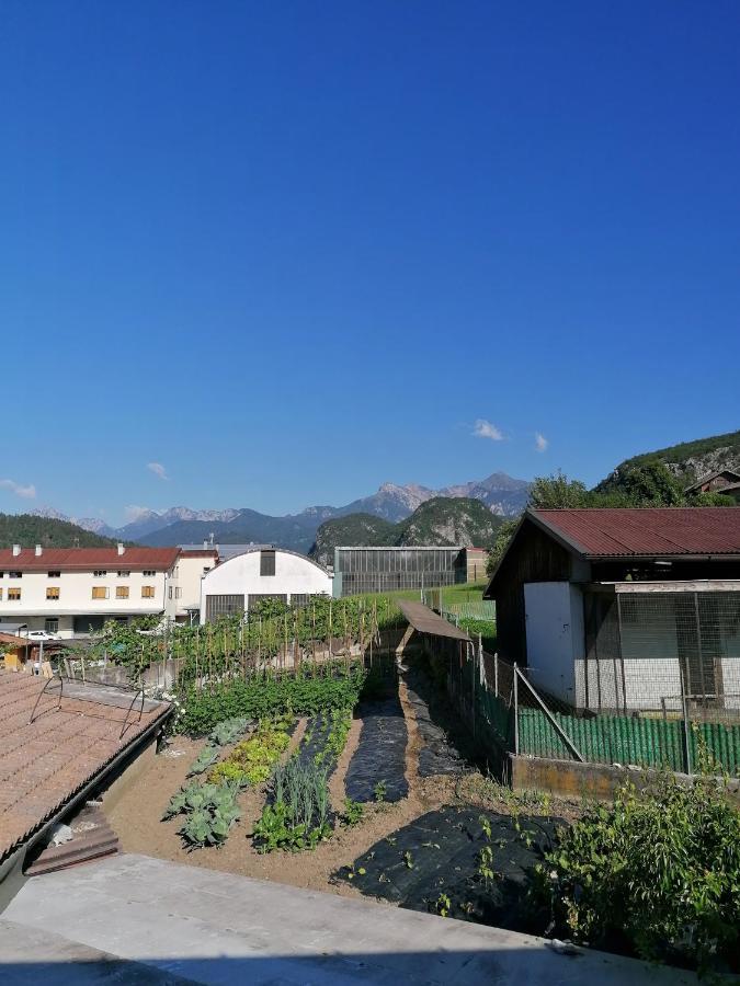 Al Fogolar Hotel Villa Santina Luaran gambar